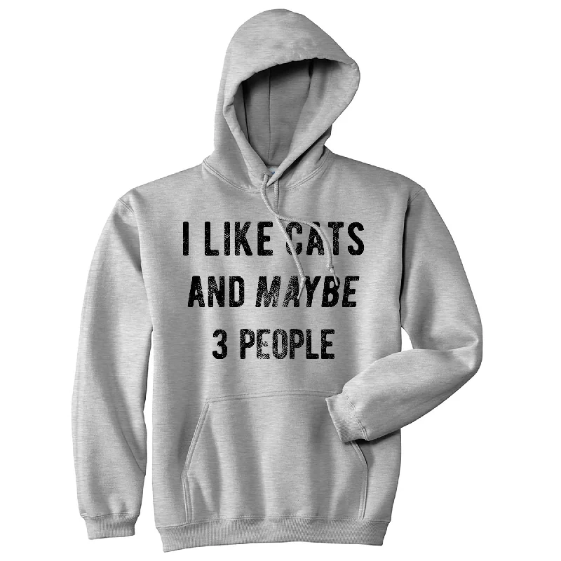 I Like Cats And Maybe 3 People Hoodie