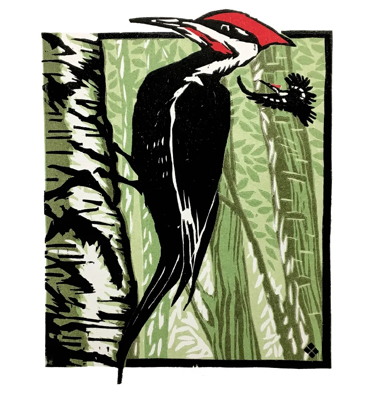 Pileated Woodpecker